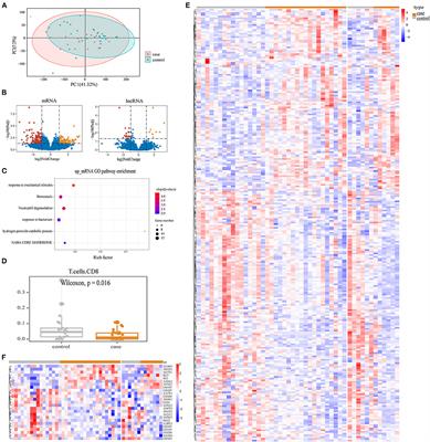 Peripheral Blood Transcripts Predict Preoperative Obstructive Total Anomalous Pulmonary Venous Connection